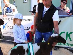 2019_ausstellung polling_769